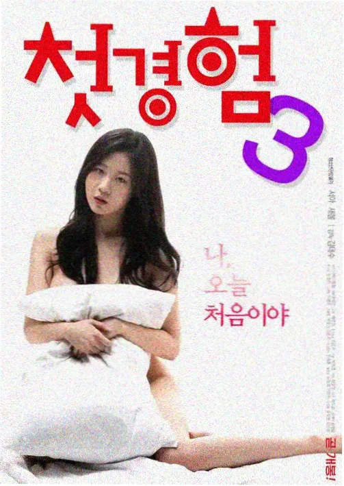 妈妈的职业韩国 海报